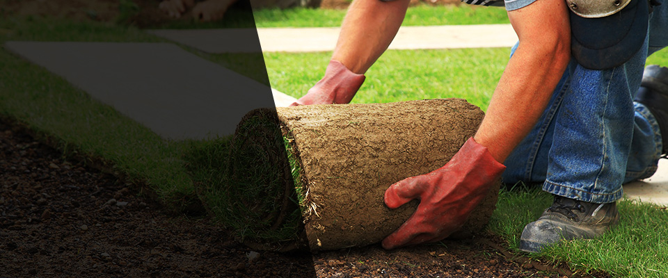 Natchez Landscapers